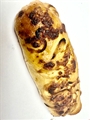 Bread Homemade Cheddar Onion
