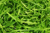 A&V Organic Baby Arugula (5oz)