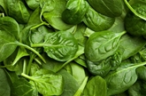 A&V Organic Baby Spinach (5oz)