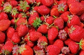 Harry's Berries