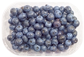 Blueberry Bowl (6oz.)