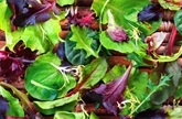 A&V Organic Spring Mix w/ Herbs  (5oz)