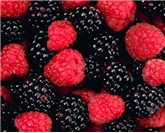 Organic Mixed Berries (12 oz.)