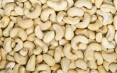 Raw Cashews (16 oz)