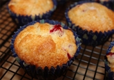 Homemade Mini Cranberry Corn Muffin (6pk)