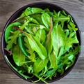 Spinach & Wild Arugula Blend (5oz)