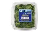 Satur Farms Baby Kale 5oz