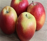 Jazz Apples