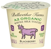 Bellwether Farms A2 Organic Blackberry Yogurt  5.3oz