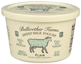 Bellwether Plain