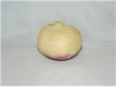 Turnips