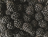 Driscoll's Sweetest Batch Blackberries (10oz)