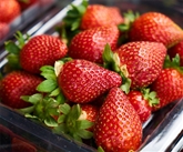 Strawberries Rose Driscolls
