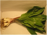 Ramps