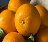 Cara Cara Navel Oranges