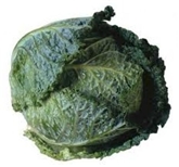 Savoy Cabbage