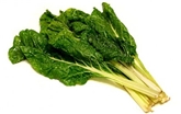 Green Swiss Chard