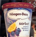 Haagen Dazs Summer Blueberry & Lemon Sorbet 14oz
