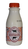 Ronnybrook Peach Drinkable Yogurt (12oz.)