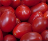 Cherub Tomatoes (1pt)