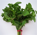 Soli Organic Mint .5oz