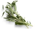 Soli Organic Sage .5oz