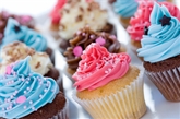 Mini Assorted Cupcake Platter