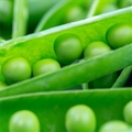 ENGLISH PEAS SHELLED 6X10 OZ