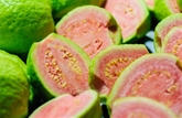 Mexican Guavas