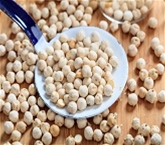 Roasted Salted Chickpeas (8oz.)