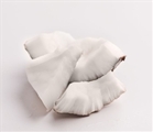Organic Fresh Coconut Chunks (4oz)