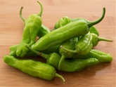 Organic Shishito Pepper