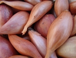 Organic Shallots (10oz)
