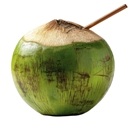 Fresh Coconut with Straw (8oz)