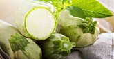 Cucuzza Long Squash