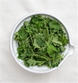 Organic Girl Baby Kale 4oz