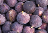 Organic Fresh Black Mission Figs (8oz)