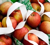 Tote Honey Crisp Apples