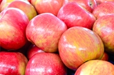 Organic Ambrosia Apples