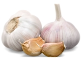 Garlic Organic