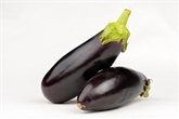 Organic Eggplant