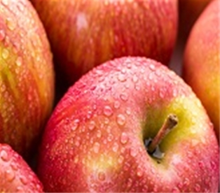 Fresh Organic Fuji Apples