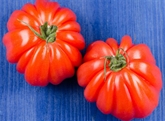 Eli & Ali Organic Beefsteak Tomatoes