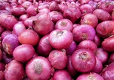 Organic Red Onions