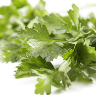 Italian Parsley