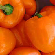 Orange Bell Peppers 