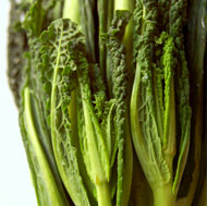 Tuscan Kale 