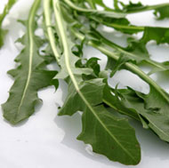 Dandelion Greens 