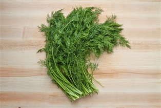 Goodness Gardens Organic Dill (0.75 OZ)