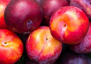 Organic Red Plums
